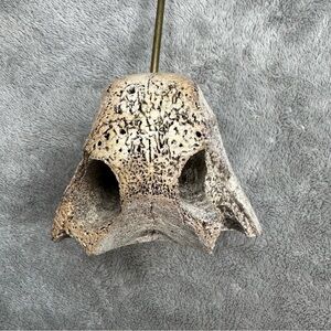 Vintage Bone Vertebra Receipt Spike Memo Holder Curiosity Western Decor